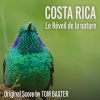 Tom Baxter - Costa Rica Main Theme