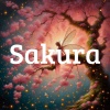 Noah Bräuer、$avag3 - Sakura