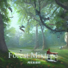 风花似雪月 - Forest Mixtape (纯钢琴)
