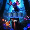 Xookwankii、Vlak - Phenomena