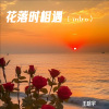 王晗宇 - 几度花落时