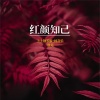 唐尼 - 红颜知己 (新版)
