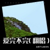 格格里西西 - 爱完不完