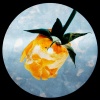 Murder He Wrote、Miki Rose - No More Favours (Explicit)