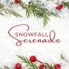 Christmas Songs Music - Tinsel and Trombone
