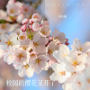 桂小新 - 校园的樱花又开了