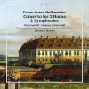 südwestdeutsches kammerorchester pforzheim、Johannes Moesus - I. Allegro