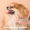 Música Relajante para Perros、Colectivo De Música Para Perros、Jack Christiansen - Tranquil Tails (Loopable, No Fade)