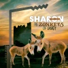 sharon shannon - The Zonkeys Of Easkey