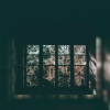 bedroom lofi、With'N - Shimmer