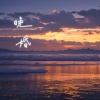岩贵 - 晚婚 (弹唱版)