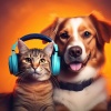 Calming Songs、Focused Pet、Night Pet Calm - Calm Companion Tones