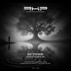 DJ Zombi - Harmonized