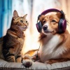 Music Harmony、Calming Music For Pets、Calming Pet Music - Calm Pet Vibes