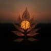 Ascend - Golden Leaf