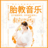 动听音乐酷 - 莫扎特开发智力胎教音乐 (1)