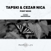 Tapski、Cezar Nica - Point Nemo