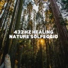 432 Hz Destroy Unconscious Blockages、432 Hz Deep Healing - Song of the Morning Birds