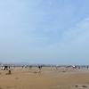 程奎 - 归