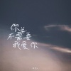 张齐山 - 你并不需要我爱你