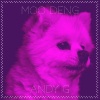 Andy G - Moo Deng