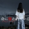 Akie秋绘 - 命に嫌われている。