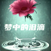 依依、江舟夜雨 - 梦中的泪滴