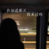 刘纯、DJ先森 - 你知道那天我来过吗 (DJ版)