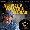 ANGELES CUMBIA BAND、Ramón Orlando - NO VOY A VOLVER A LLORAR (RAMÓN ORLANDO Remix Cumbia Version)