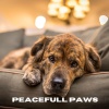Música Relajante para Perros、Colectivo De Música Para Perros、Jack Christiansen - Tails of Tranquility (Loopable, No Fade)