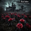 Areal Kollen - There's The Killer