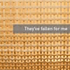 Sandy Lee - They’ve fallen for me