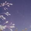 Freya Arde - Falling In Love Again