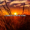 Asian Zen Spa Music Meditation - Peace And Nourishment