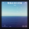 洋洋仔 - 等我还清欠的账