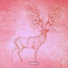 Z Musto、Dan Rubell - Total Eclipse (Dan Rubell Remix)