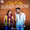 Prudhvi Chandra、Devi Sri Prasad、Saraswati Putra Ramajogayya Sastry - Crazy Feeling Slowed and Reverb (From 