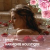 Zen Atlas - Harmonie holistique, Flot musical