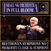 Christian Lindberg、Israel NK orchestra、Ludwig van Beethoven - I. Poco sostenuto - Vivace I