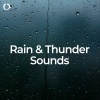 Thunderstorm Sounds、Rain Thunder Sounds、Atmospheres Sounds - Gentle Rain and Distant Thunder