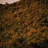 Rueben、Gotxi、Atticus Blue、Leire - Roots