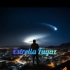 BDM - Estrella Fugaz