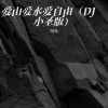 冯光 - 爱山爱水爱自由 (DJ小圣版)