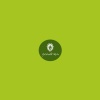 Simplex Sensus - Virtual Flash