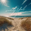 Drunken Beats - Wonderful Days