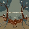 Los Cedros Cloud Forest、Robert Macfarlane、Cosmo Sheldrake - Song of the Cedars