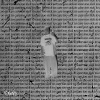 midsxmmr - NEEDING SOME LOVE (Explicit)