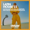 Joshua Mendez - Samba El Diablo (Dance Mix)