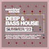 Black Eagles - Show Me The Way (House Mix)