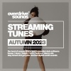 Afro Colors - No Say (Club Mix)